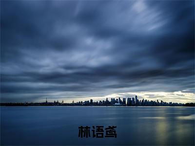 披星戴月离开你小说全文免费阅读-林语鸢在线阅读的小说完整版