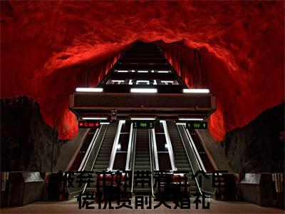 小说傅龙庭（被弃主妇带着三个巨佬祝贺前夫婚礼小说免费阅读）完结阅读_傅龙庭全文免费阅读最新章节大结局