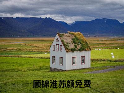 顾锦淮苏颜(顾锦淮苏颜)全文免费阅读无弹窗_(顾锦淮苏颜)顾锦淮苏颜最新章节列表笔趣阁（顾锦淮苏颜）