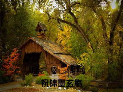 祝锦墨玄觞全文免费阅读无弹窗-祝锦墨玄觞小说最新章节列表