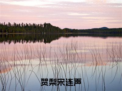 小说最爱你的那十年（贺梨宋连声小说免费阅读）完结阅读_最爱你的那十年全文免费阅读最新章节大结局