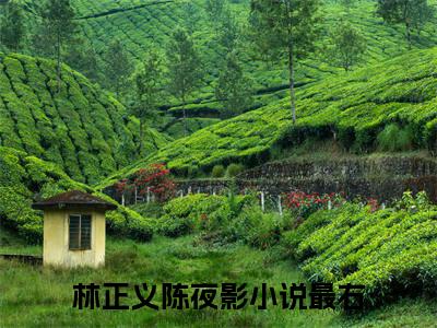 林正义陈夜影(林正义陈夜影)全文免费阅读无弹窗大结局_林正义陈夜影章节列表