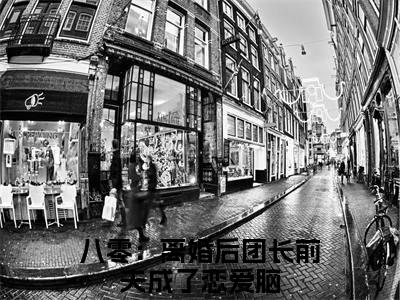 （八零：离婚后团长前夫成了恋爱脑小说免费阅读）林冉陆进淮全文免费阅读无弹窗大结局-八零：离婚后团长前夫成了恋爱脑全文免费版阅读