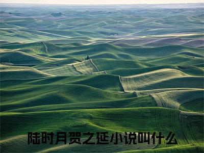 陆时月贺之延全文免费阅读-最火热点小说最新更新