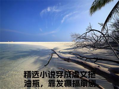 穿成虐文拖油瓶，靠发癫搞崩剧情言希正版小说最新章节在线阅读-（穿成虐文拖油瓶，靠发癫搞崩剧情言希）全文无弹窗阅读