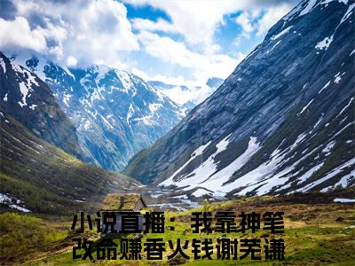直播：我靠神笔改命赚香火钱谢芜谦完整版 直播：我靠神笔改命赚香火钱谢芜谦小说全文在线阅读