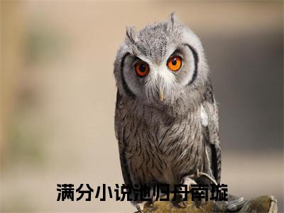 池归舟南璇的小说免费阅读（池归舟南璇小说免费阅读）全文免费阅读大结局-池归舟南璇热门榜单好书推荐