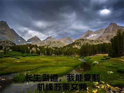 长生武道，我能复制机缘苏秦（长生武道，我能复制机缘苏秦)全文免费阅读无弹窗大结局_长生武道，我能复制机缘苏秦全文免费阅读_笔趣阁（长生武道，我能复制机缘苏秦）