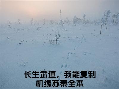 小说(长生武道，我能复制机缘苏秦)全文免费阅读_(长生武道，我能复制机缘苏秦)小说全文免费阅读