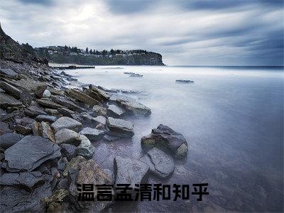 温言孟清和（温言孟清和)全文免费阅读无弹窗大结局_温言孟清和全文免费阅读_笔趣阁（温言孟清和）