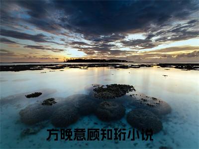 方晚意顾知珩（方晚意顾知珩）小说完整版阅读-小说方晚意顾知珩全文免费阅读