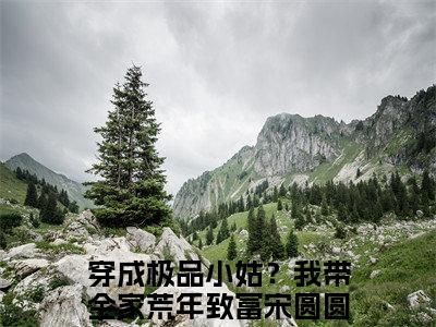 穿成极品小姑？我带全家荒年致富宋圆圆(穿成极品小姑？我带全家荒年致富宋圆圆）小说全文免费阅读无弹窗大结局_穿成极品小姑？我带全家荒年致富宋圆圆全文免费阅读