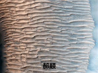 （只要给我配警花，破案分分钟的事）全文免费阅读无弹窗大结局_（郝顺）章节列表_笔趣阁