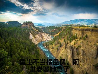 小说赵国庆（重生不当接盘侠，前世老婆她急了）免费阅读-小说赵国庆全文在线赏析