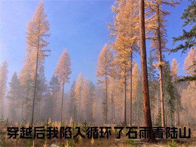 （热推新书）《石雨青陆山》全文免费阅读无弹窗大结局_穿越后我陷入循环了无弹窗全文阅读