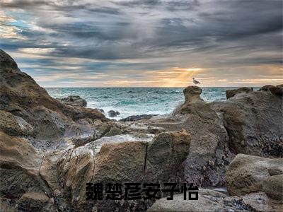 魏楚彦安子怡（魏楚彦安子怡无弹窗）全文免费阅读无弹窗大结局_魏楚彦安子怡最新章节列表_笔趣阁（魏楚彦安子怡无弹窗）