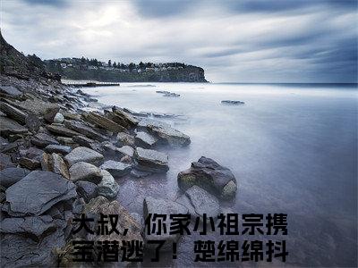 大叔，你家小祖宗携宝潜逃了！楚绵绵最新章节全文阅读大叔，你家小祖宗携宝潜逃了！楚绵绵天完整版小说