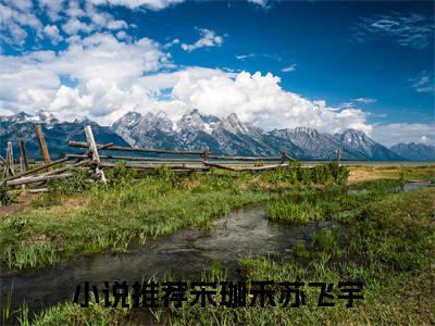 宋珈禾苏飞宇是什么小说 宋珈禾苏飞宇全本免费阅读