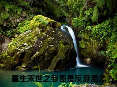 重生末世之我哥是反派温念（重生末世之我哥是反派温念）完整版全文全章节阅读重生末世之我哥是反派温念