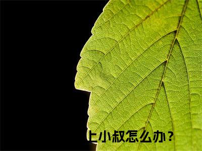 爱上小叔怎么办？抖音完结版阅读《林汐妍厉亦寒》最新章节目录好书推荐_（爱上小叔怎么办？）