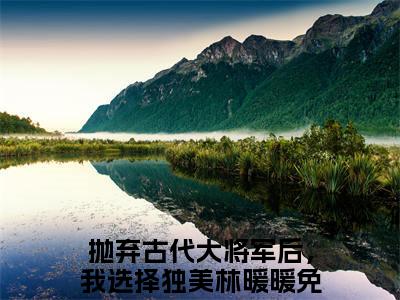 抛弃古代大将军后，我选择独美林暖暖是哪部小说的主角-（抛弃古代大将军后，我选择独美林暖暖）全文无弹窗完整版阅读