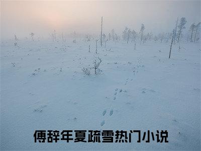 傅辞年夏疏雪全文推荐阅读，傅辞年夏疏雪热门榜单免费新书阅读