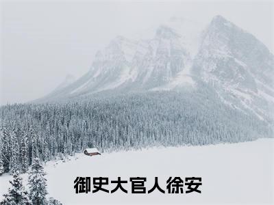 御史大官人徐安（御史大官人徐安）全文免费阅读_（御史大官人徐安）最新章节列表笔趣阁