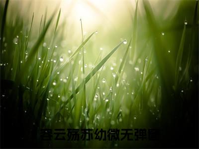 王妃死后，王爷他一夜白头容云殇苏幼微全文免费阅读_（王妃死后，王爷他一夜白头免费阅读无弹窗）容云殇苏幼微最新章节列表笔趣阁