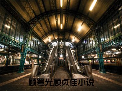 顾寒光顾贞佳（顾寒光顾贞佳)全文免费阅读无弹窗大结局_顾寒光顾贞佳全文完整无删减版免费阅读（顾寒光顾贞佳）