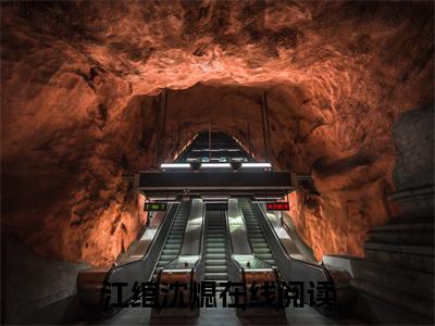 从属关系（江绾沈熄）全文免费阅读无弹窗大结局_从属关系小说全文免费阅读最新章节列表（江绾沈熄）
