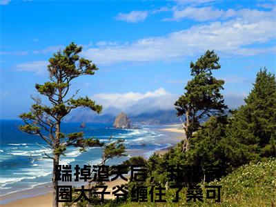踹掉渣夫后，我被京圈太子爷缠住了桑可无弹窗热文（踹掉渣夫后，我被京圈太子爷缠住了桑可）在线阅读-踹掉渣夫后，我被京圈太子爷缠住了桑可小说在哪里可以看