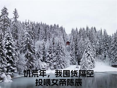 饥荒年，我囤货隔空投喂女帝陈辰小说（饥荒年，我囤货隔空投喂女帝陈辰）全文免费阅读无弹窗大结局_饥荒年，我囤货隔空投喂女帝陈辰小说免费阅读_笔趣阁