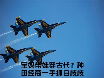 宝妈带娃穿古代？种田经商一手抓白枝枝（宝妈带娃穿古代？种田经商一手抓白枝枝）全文免费阅读无弹窗大结局_宝妈带娃穿古代？种田经商一手抓白枝枝全文阅读_笔趣阁（宝妈带娃穿古代？种田经商一手抓白枝枝）