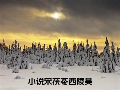 (宋茯苓西陵昊)小说免费阅读无弹窗_（宋茯苓西陵昊免费阅读）宋茯苓西陵昊小说最新章节列表_笔趣阁（宋茯苓西陵昊）