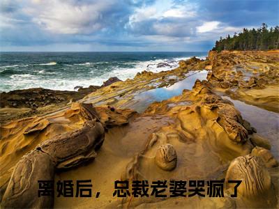 楚铭小说热门榜单免费阅读，离婚后，总裁老婆哭疯了抖音新上热文分享_笔趣阁（楚铭）