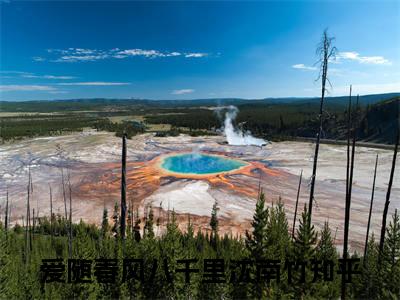 爱随春风八千里沈南竹（爱随春风八千里沈南竹）全文免费阅读-小说爱随春风八千里沈南竹最新章节阅读笔趣阁