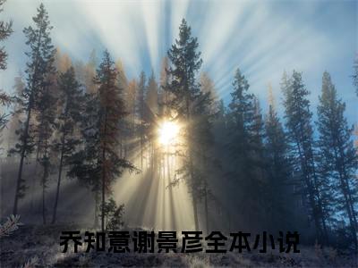 乔知意谢景彦的小说全文免费阅读无弹窗大结局-《乔知意谢景彦》完整章节阅读