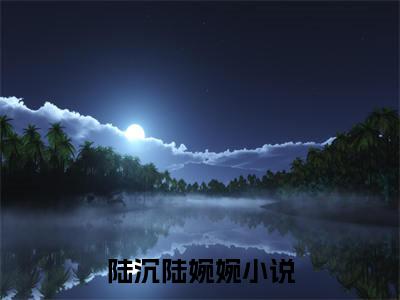 此情可待成追忆（陆沉陆婉婉）新上热文免费阅读-此情可待成追忆（陆沉陆婉婉）无广告在线阅读
