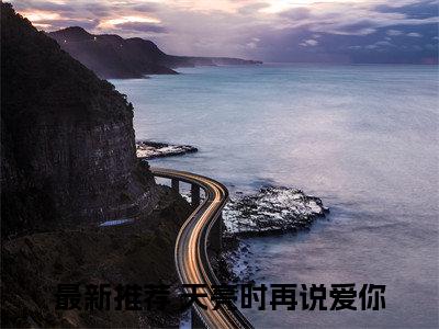天亮时再说爱你全文免费（沈遇温轻颜）全集小说完整版大结局-天亮时再说爱你全文阅读无弹窗