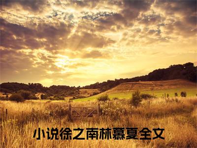 徐之南林慕夏（爱已成风我成凰）小说全文免费阅读正版无弹窗_（爱已成风我成凰）免费阅读无弹窗最新章节列表