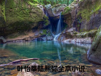 叶怡莘陆熙弥小说（叶怡莘陆熙弥）完整版阅读-叶怡莘陆熙弥小说全文无删减版