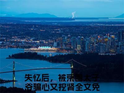 失忆后，被京圈太子爷骗心又挖肾小说（祁轩南锦）全文免费阅读无弹窗大结局_祁轩南锦小说免费阅读无弹窗最新章节列表