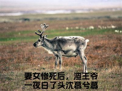 妻女惨死后，渣王爷一夜白了头（沈慕兮慕容景衍）完整版小说阅读_-妻女惨死后，渣王爷一夜白了头最新章节列表（沈慕兮慕容景衍）