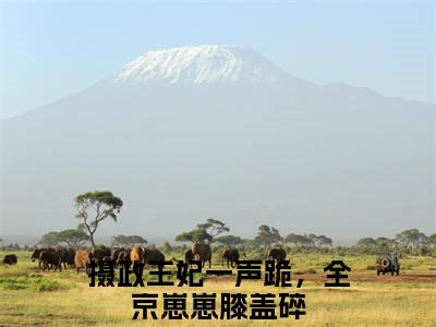 姜云初宁承言（摄政王妃一声跪，全京崽崽膝盖碎）全文免费阅读无弹窗大结局_（摄政王妃一声跪，全京崽崽膝盖碎小说免费阅读）最新章节列表_笔趣阁