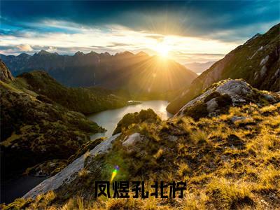 凤煜孔北柠（凤煜孔北柠小说）全文免费阅读无弹窗大结局_(凤煜孔北柠小说免费阅读)最新章节列表