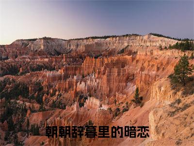 朝朝辞暮里的暗恋（朝朝辞暮里的暗恋）全文免费阅读无弹窗大结局_傅辞野许暮晚最新章节列表