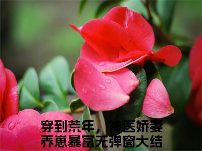 叶欣染（穿到荒年，神医娇妻养崽暴富）免费阅读_穿到荒年，神医娇妻养崽暴富小说免费阅读-笔趣阁