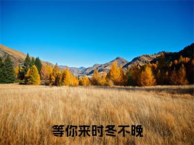 等你来时冬不晚（霍庭昀萧轻雨）全文免费阅读-（等你来时冬不晚）霍庭昀萧轻雨最新章节小说阅读-笔趣阁
