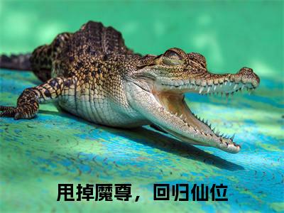 隋年玉泽（甩掉魔尊，回归仙位）最新免费阅读-隋年玉泽小说在线阅读