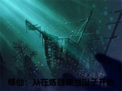 主角为陆羽的小说-修仙：从在炼器铺当厨子开始（陆羽）全文最新完整版阅读